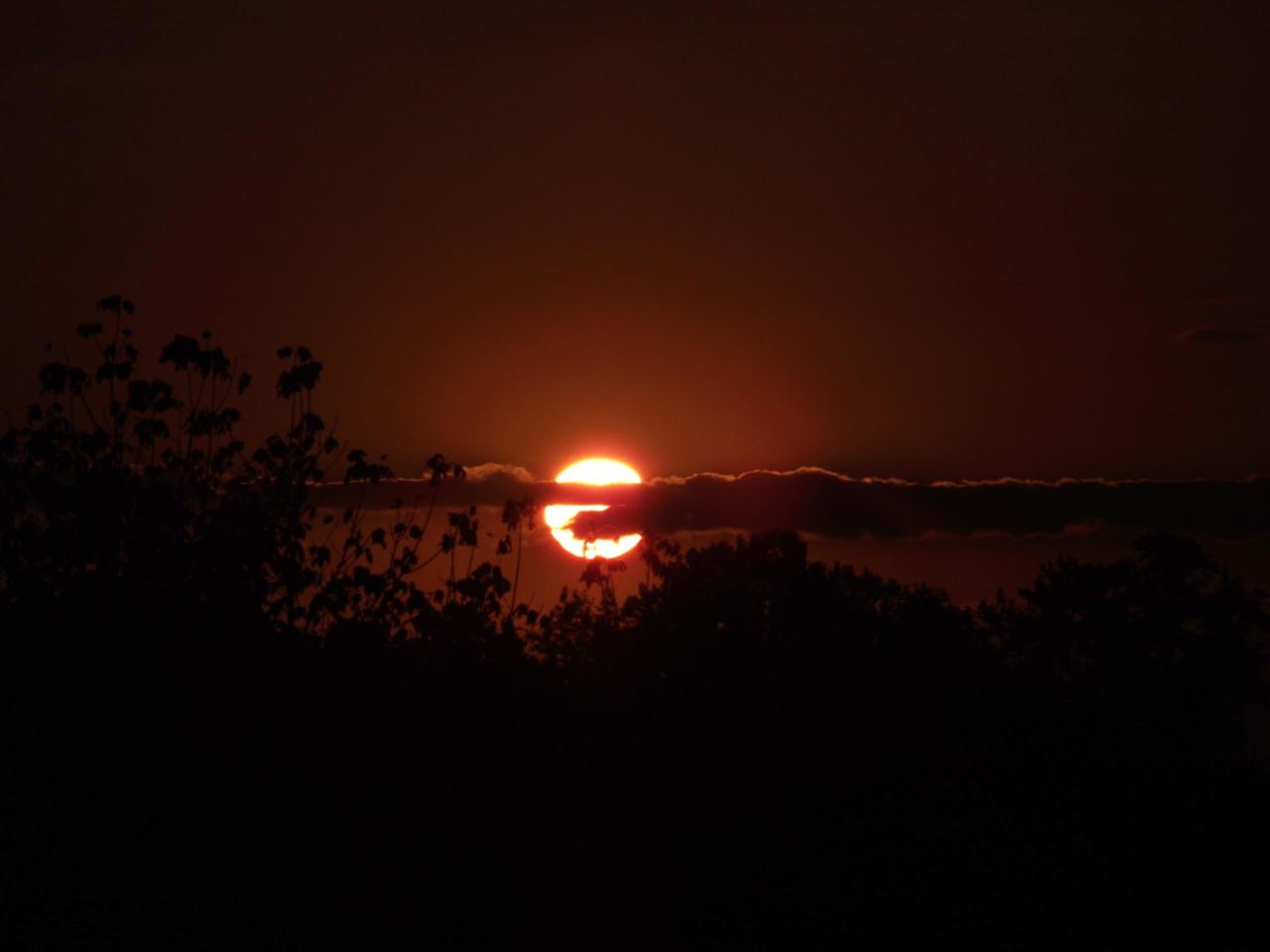 Sonne vor Untergang, nahe dem Horizont hinter schmalem Wolkenband, im Vordergrund Sträucher, schon dunkel